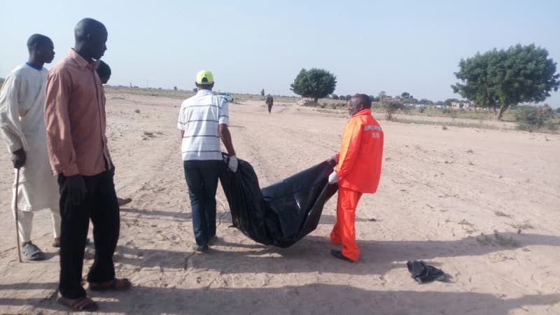 Suicide bomber kills 10 in Borno, injures 7 others