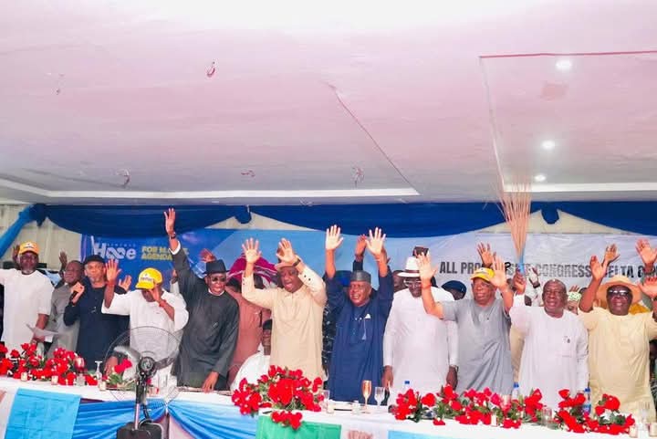 2027: Delta Central APC adopts Tinubu, Oborevwori as sole candidate