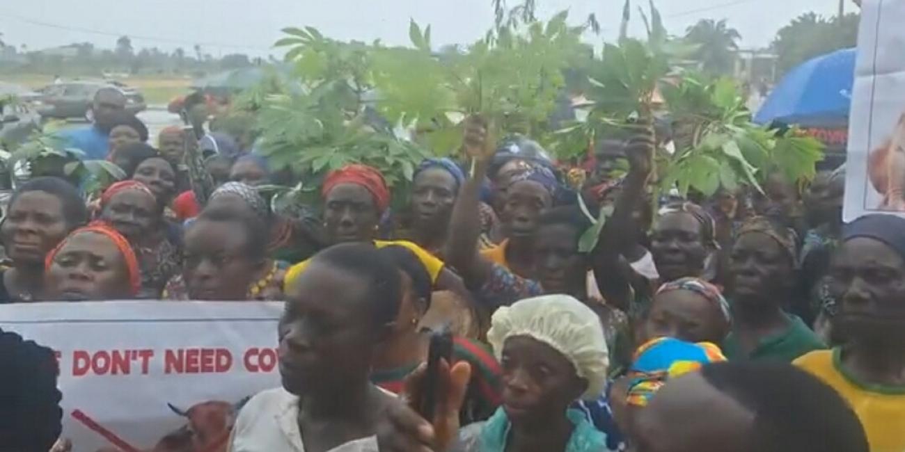 Community women protest against fulani herdsmen in Delta 