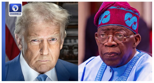 Military Action: Shittu tells Tinubu to begin talks with US govt.Ā